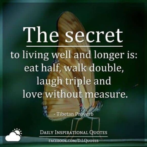 10/$25🦋 No Boundaries Hunter Green Basic Camisole - Size XL - Picture 9 of 9